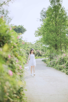 李宗瑞视频